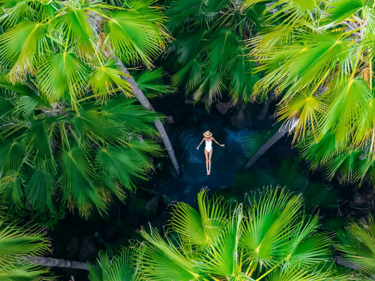 Float away at Zebedee Springs