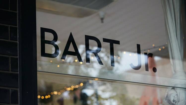 Bart Jr (Photograph: Supplied/Bart Jr)