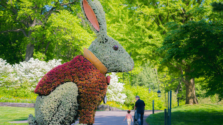 A white rabbit made of plants.