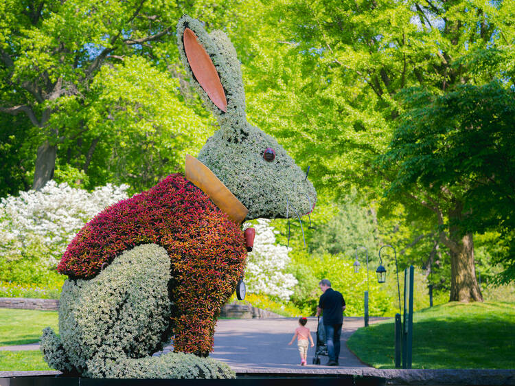 A first look at the enchanting Alice in Wonderland exhibit at New York Botanical Garden