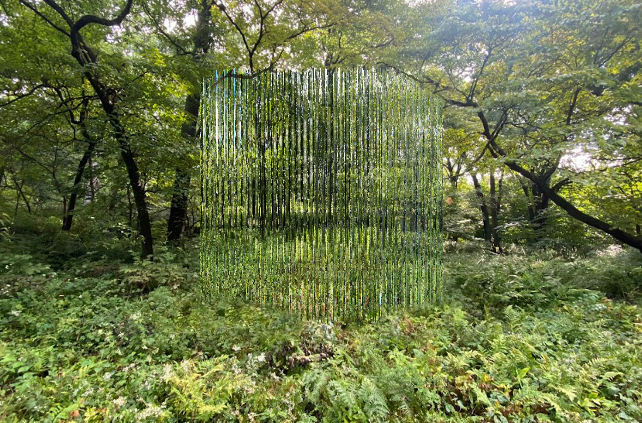 A mirrored art installation at the garden.