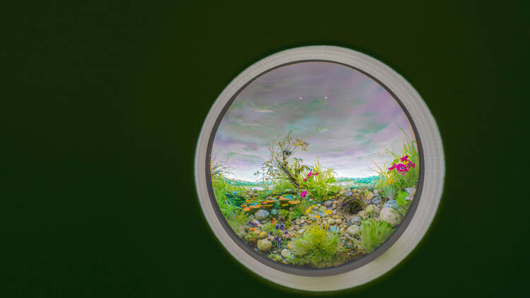 Art installation showing a tiny landscape.