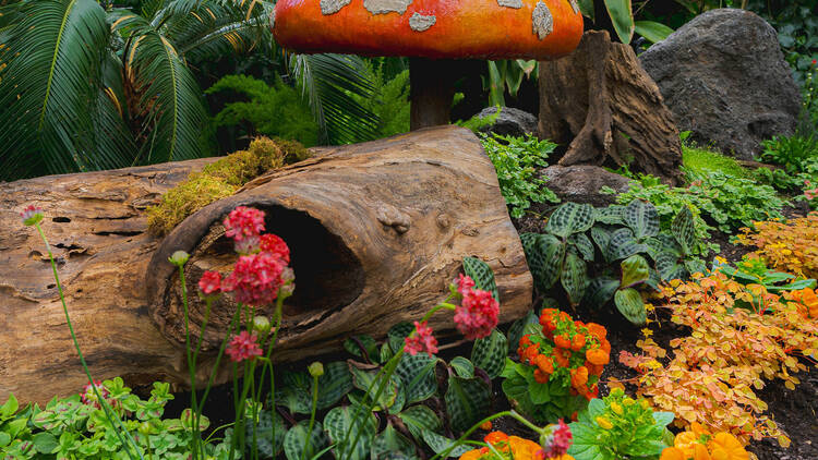Colorful orange flowers with a mushroom sculpture.