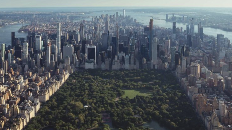 Aerial View of Central Park