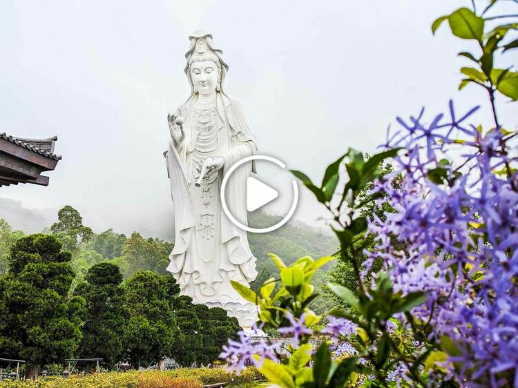 Hidden Hong Kong: Tsz Shan Monastery
