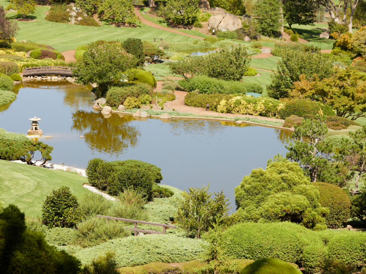 The largest Japanese garden in the Southern Hemisphere is right here in NSW