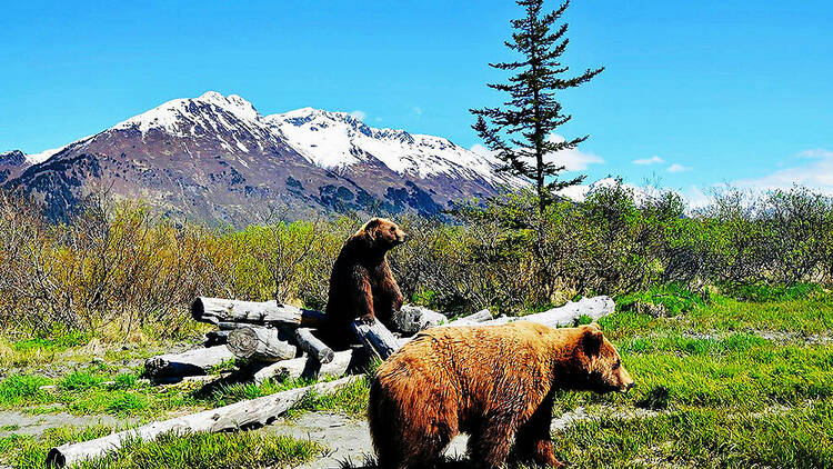 Girdwood, Alaska