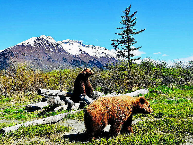 Girdwood, Alaska