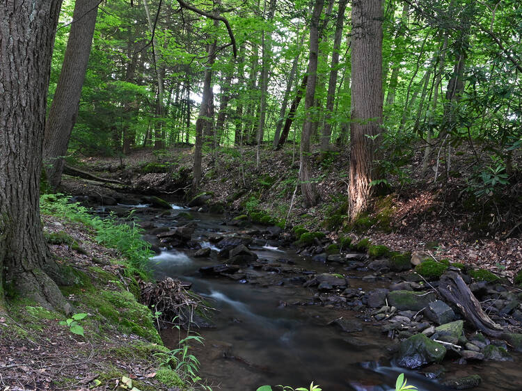 Latrobe, Pennsylvania