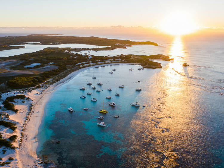 Rottnest Island is getting a $150-million glow-up that will free up more affordable stays