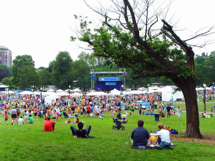 A massive electronic music festival is taking over Central Park’s Wollman Rink this fall