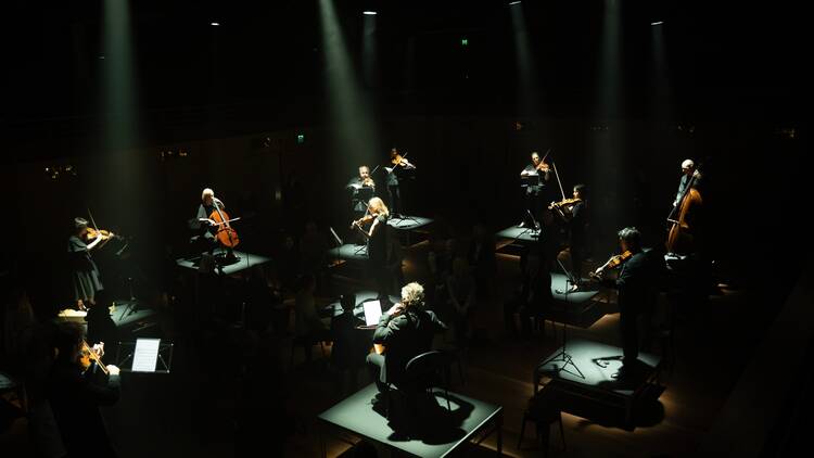 Australian Chamber Orchestra performing 