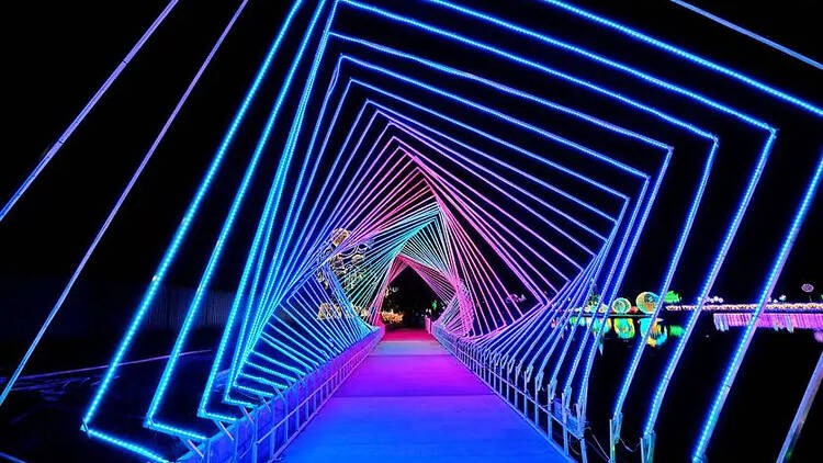 A tunnel with colourful lights. 