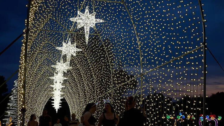 People walking through a tunnel with twinkling fairy lights. 