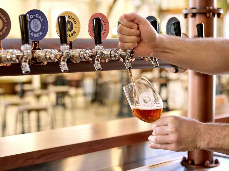 Chuck and Sons Brewing Co