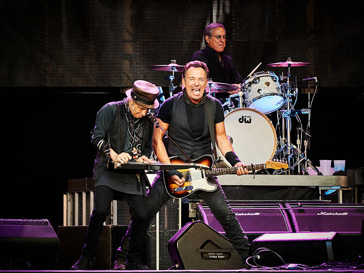 Bruce Springsteen and the E Street Band (2009)