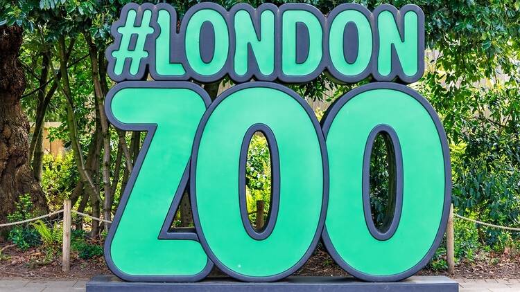 Green and blue hashtag London Zoo standing Logo