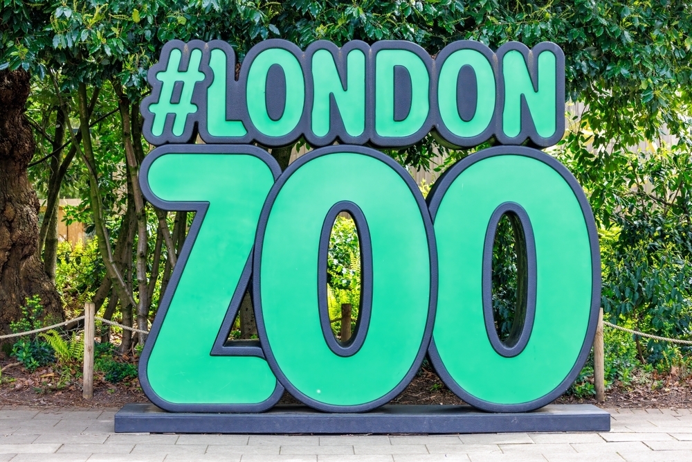 London Zoo needs your help to celebrate its 200th birthday