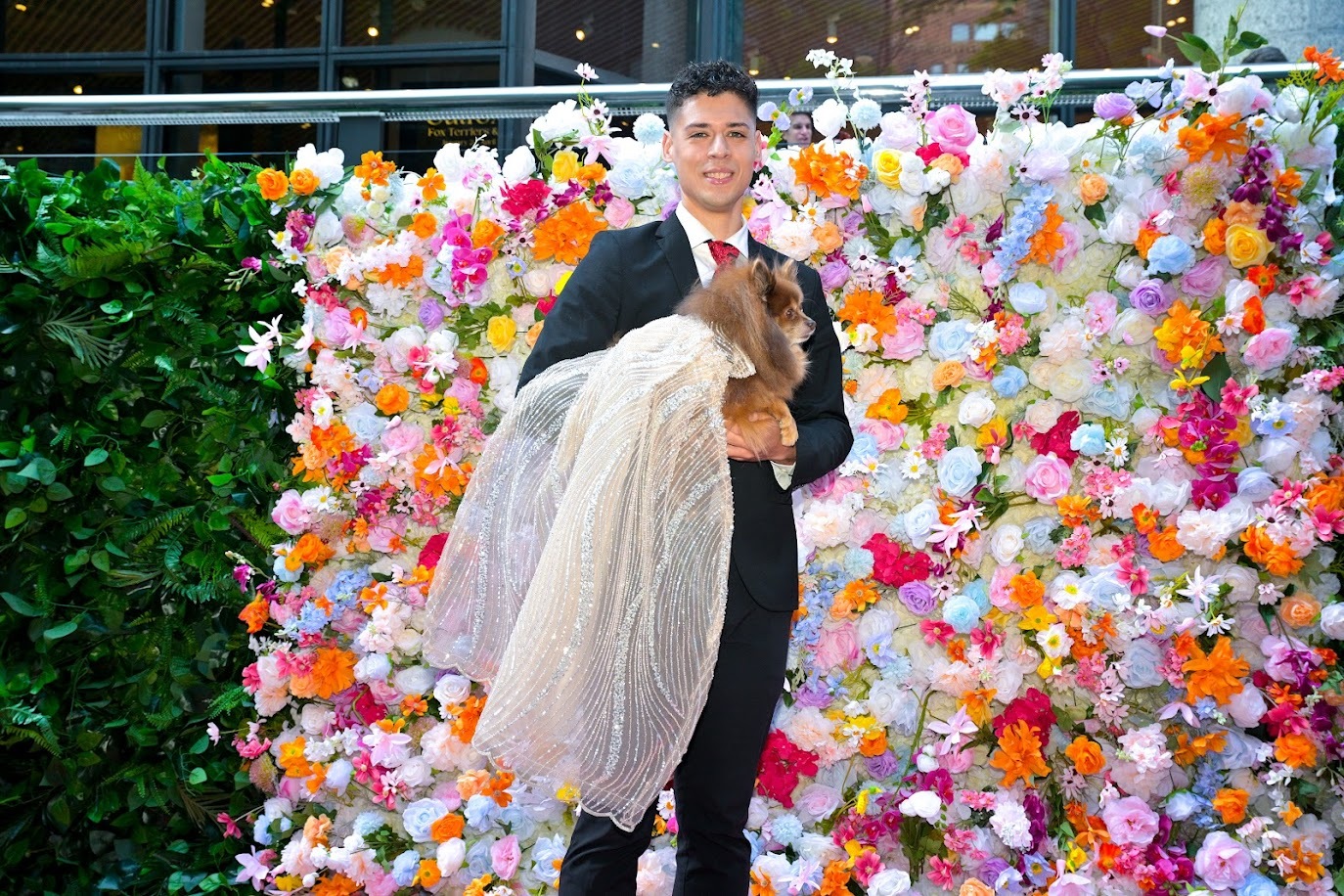 A dog dressed up in a white gown, being held by a model.