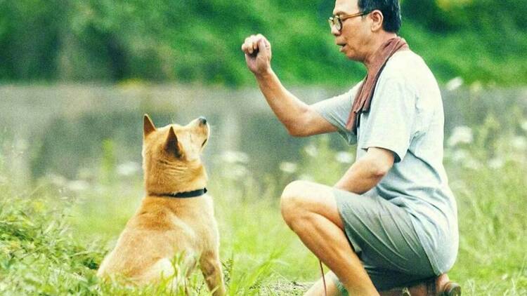 Hachiko: una historia verdadera