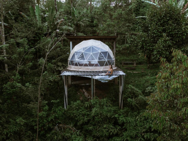 Bali Jungle Camping