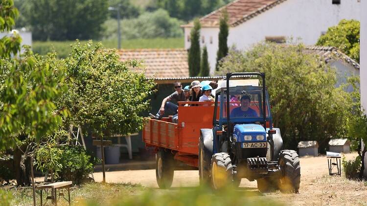 Quinta do Arneiro