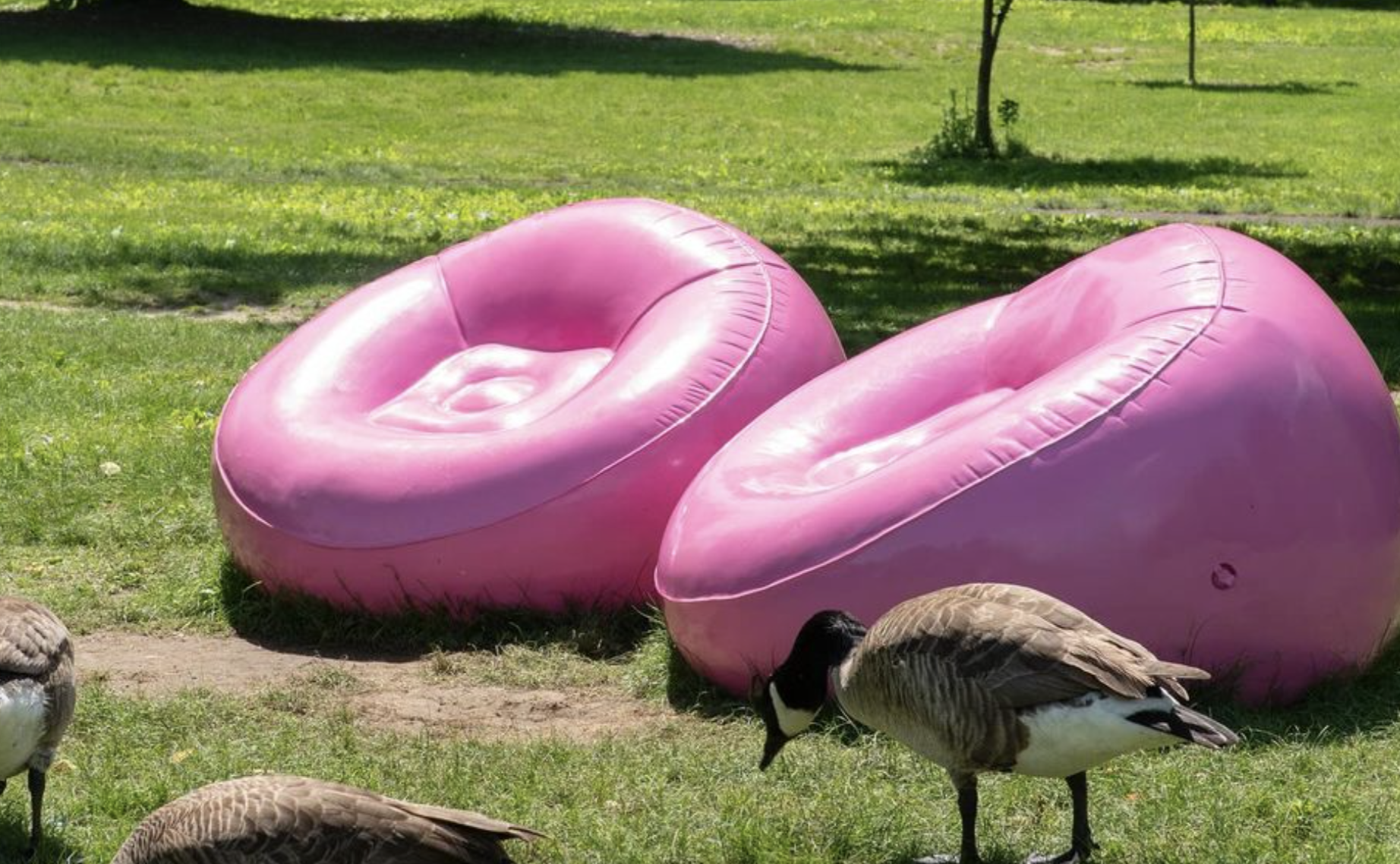 Check out these cool pink chairs in Prospect Park