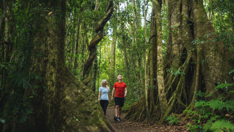 Couple walking in national park with big trees