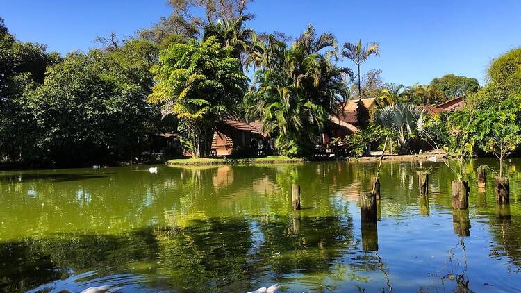 Fazendinha Rio