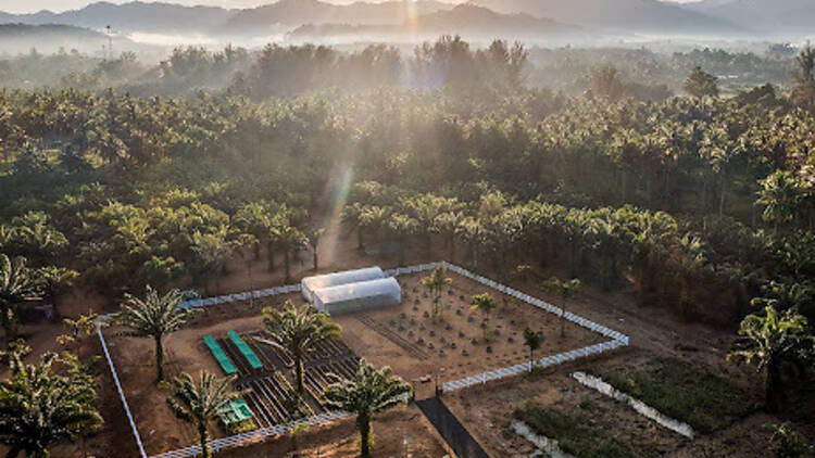 JW Garden at JW Marriott Khao Lak