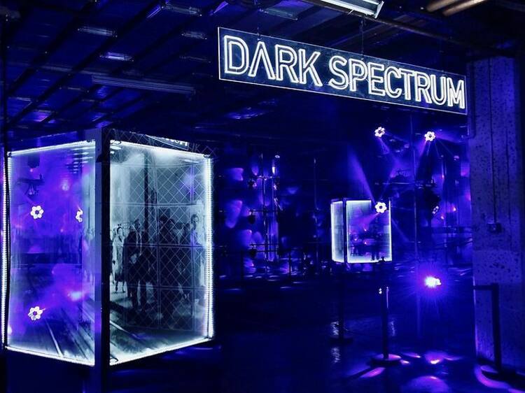 Dark Spectrum