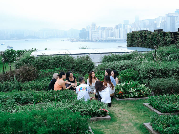 Relax and unwind with forest bathing at Kai Tak Waterfront Promenade