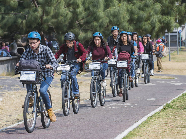 No te pierdas el Bicifest 2024 de la UNAM en junio