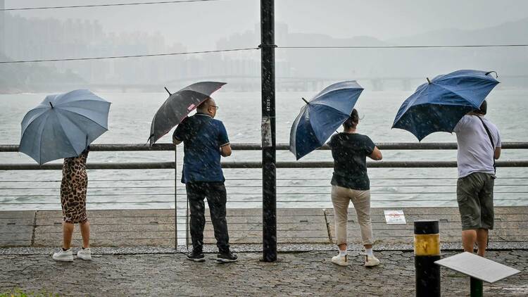 HONG KONG TYPHOON