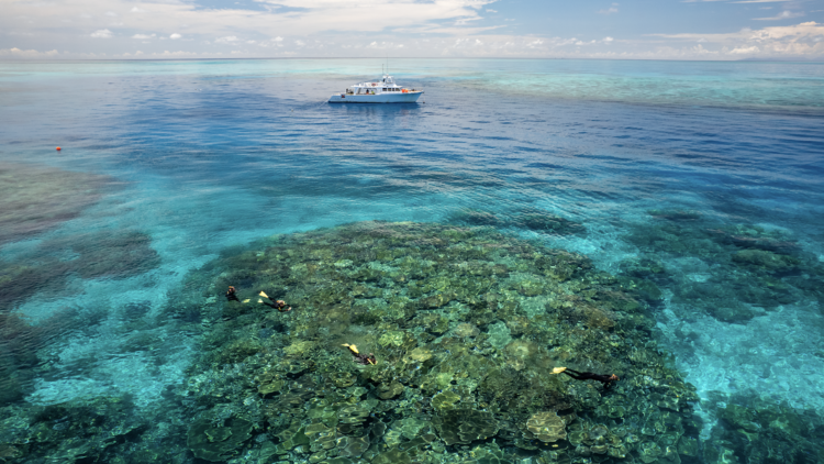 Great barrier Reef