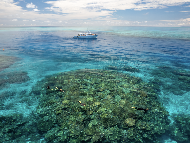 The world’s largest coral reef system is under severe threat. Should we still be visiting it?