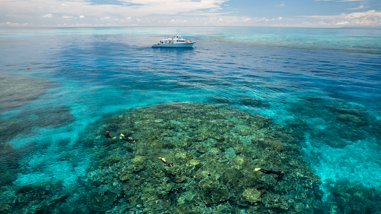 Museum of Underwater Art, Great Barrier Reef