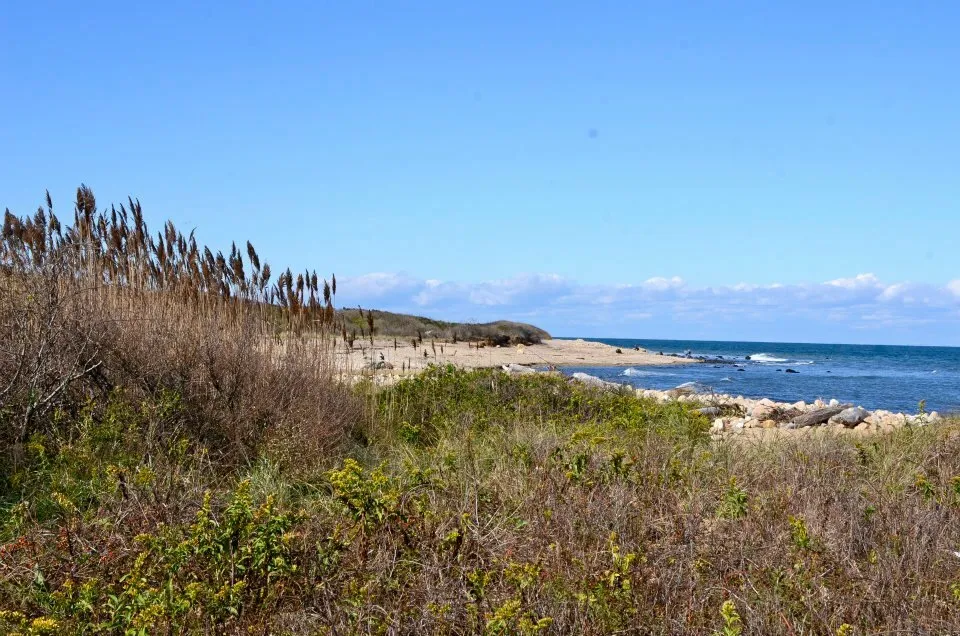 The Hamptons - Montauk