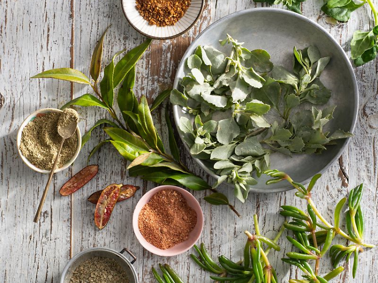 Learn to source and buy native ingredients with Luke Bourke and NICI