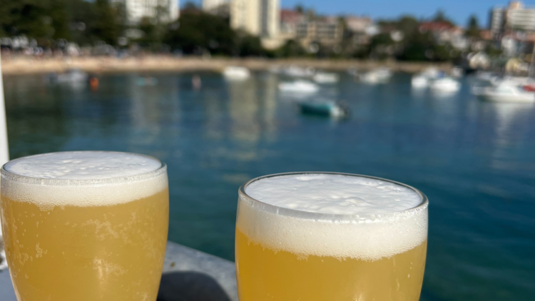 Beers at Manly Wharf Bar