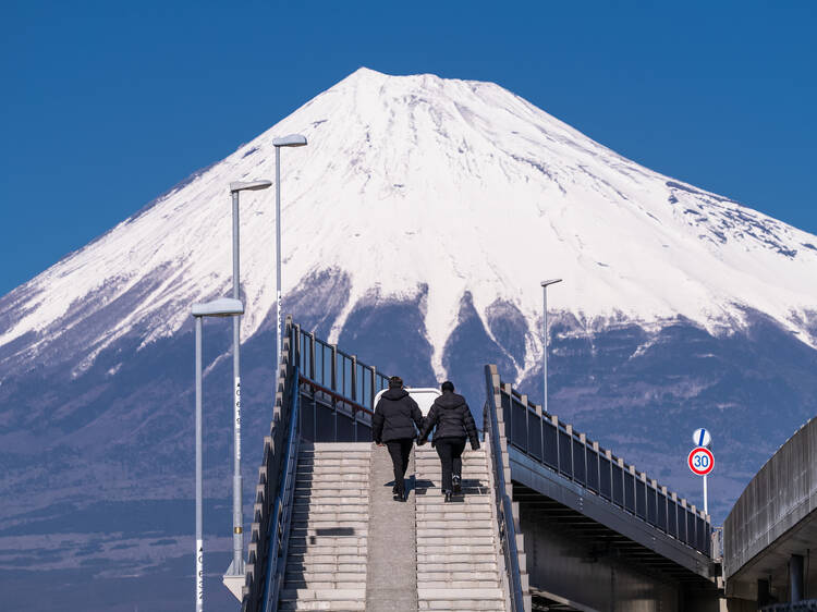 Another barricade has been installed near Mt Fuji to prevent unruly tourist behaviour