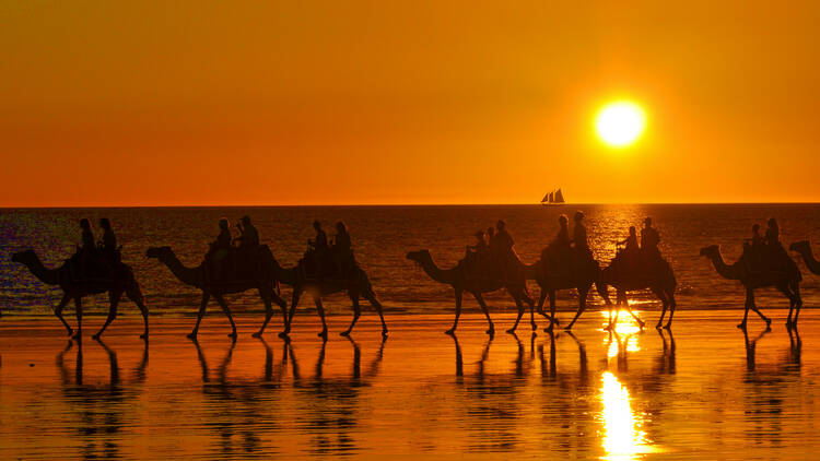 Go for a sunset camel ride on Cable Beach