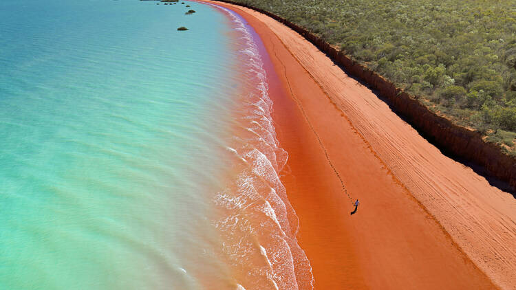 Explore Roebuck Bay