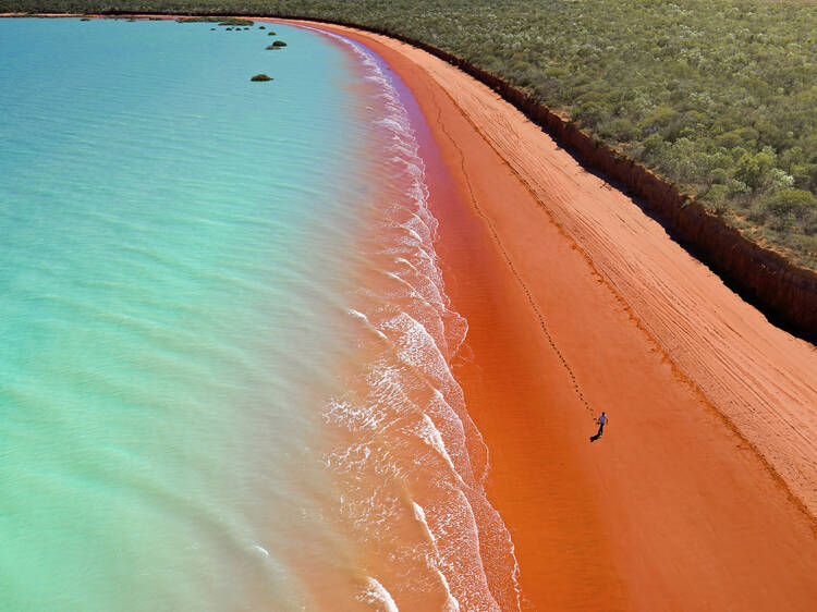 Explore Roebuck Bay