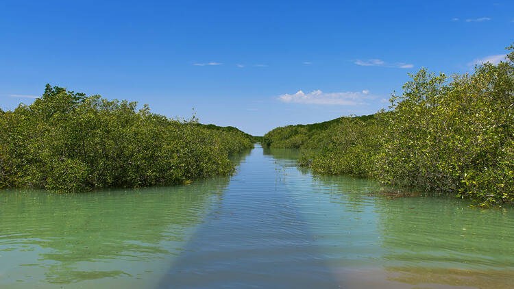 Walk the Jetty to Jetty trail