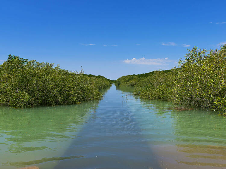 Walk the Jetty to Jetty trail