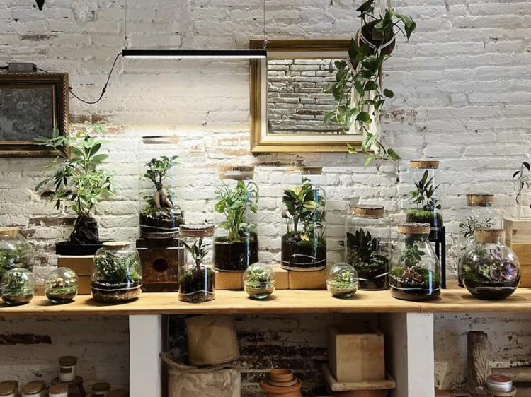 Una 'pop-up' de plantas, artículos de decoración y moda sostenible abre en Barcelona solo durante un día
