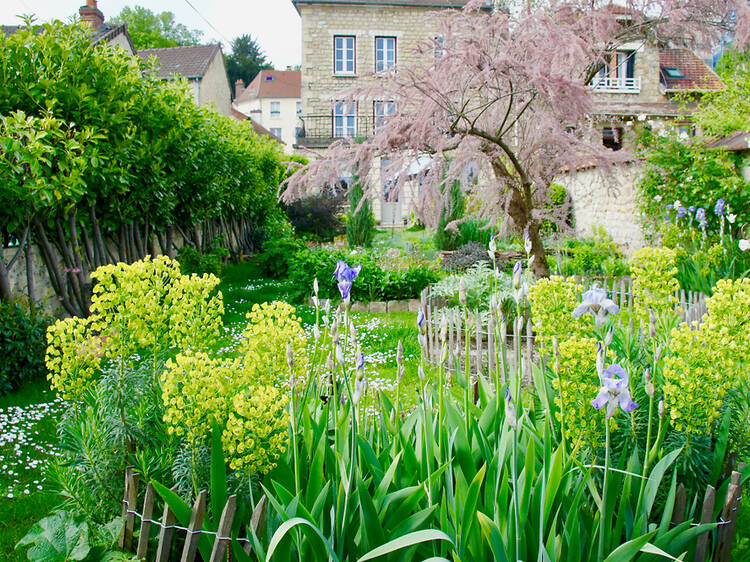 Auvers-sur-Oise