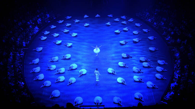 ENB performs Swan lake in-the-round at the Royal Albert Hall 