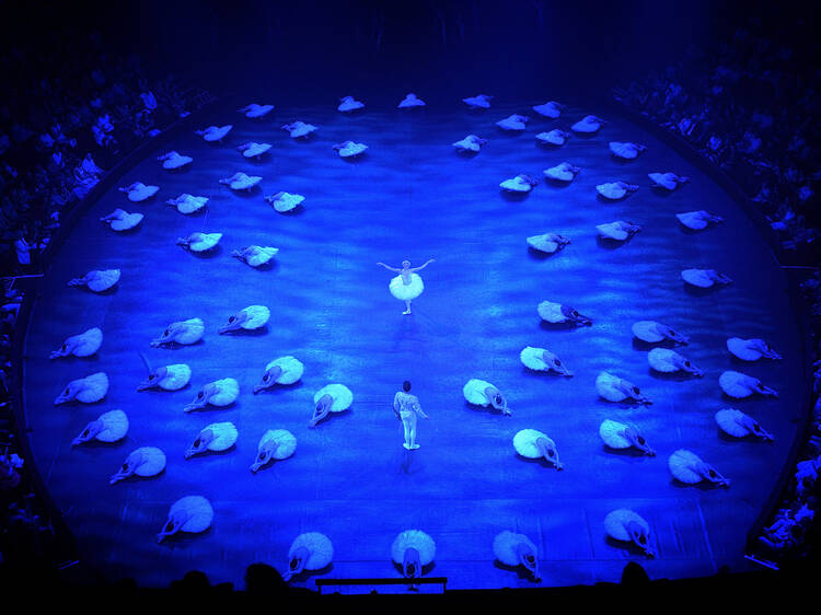 Swan Lake In-the-Round